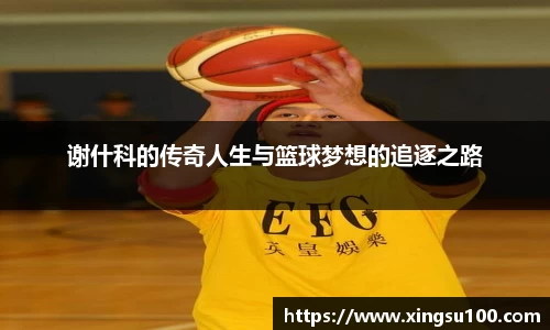 彩神VI首页